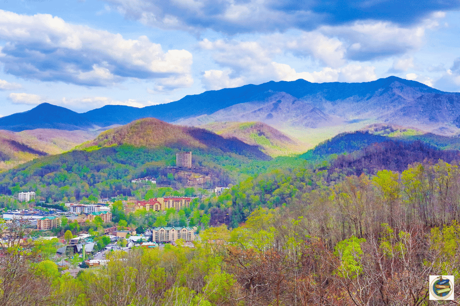 affordable family trips