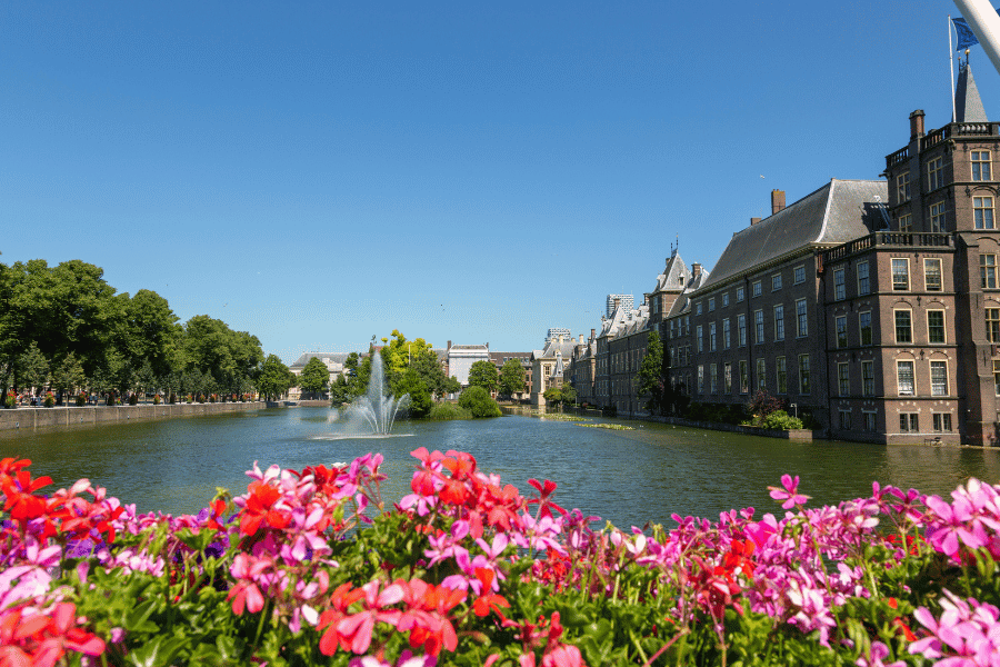 The Hague
