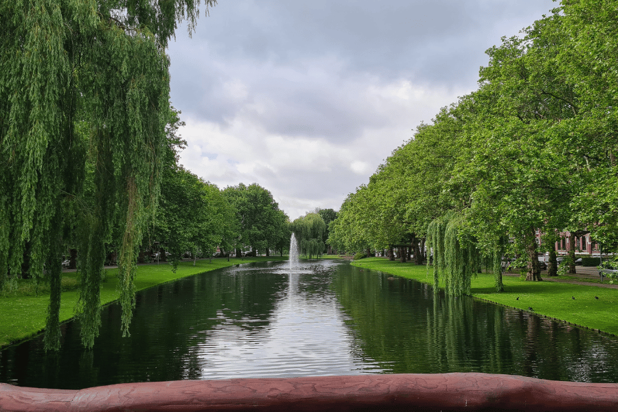 park in rotterdam