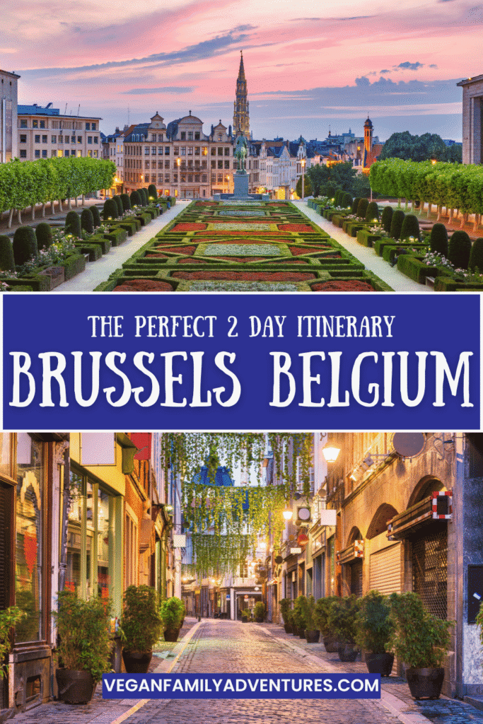 brussels pin