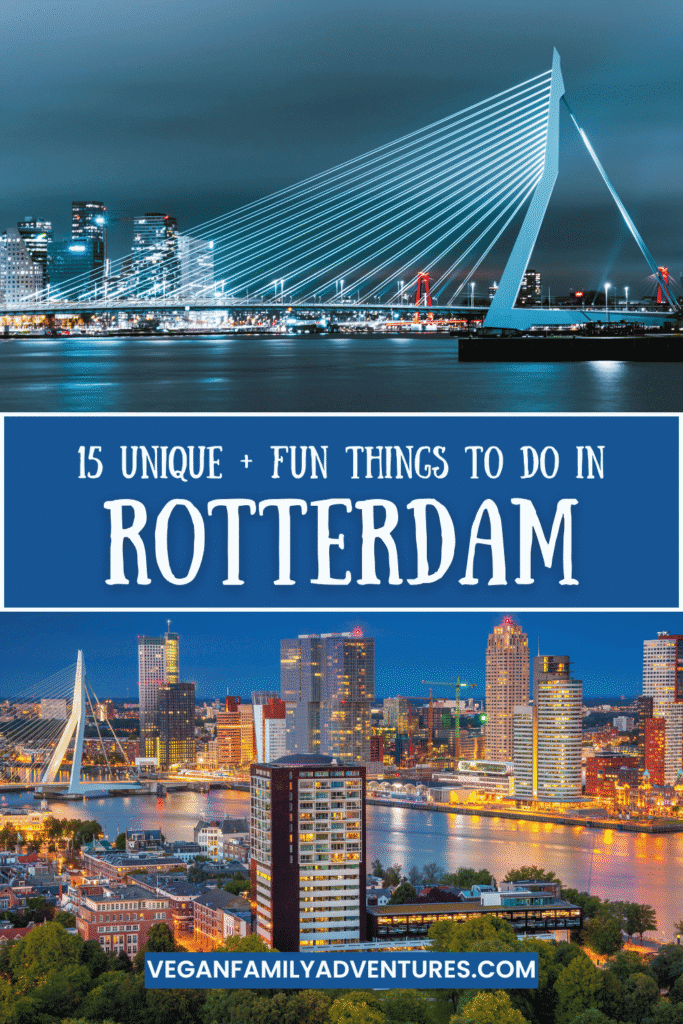 rotterdam scenes