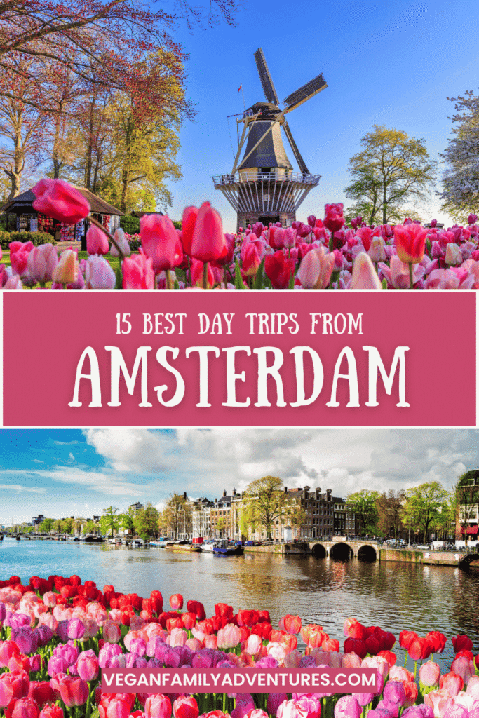 amsterdam views
