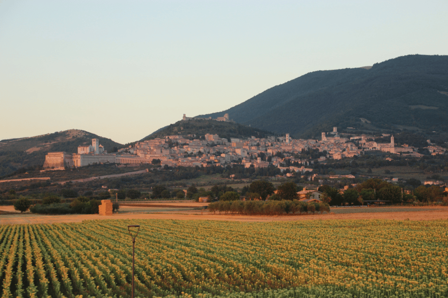 Assisi