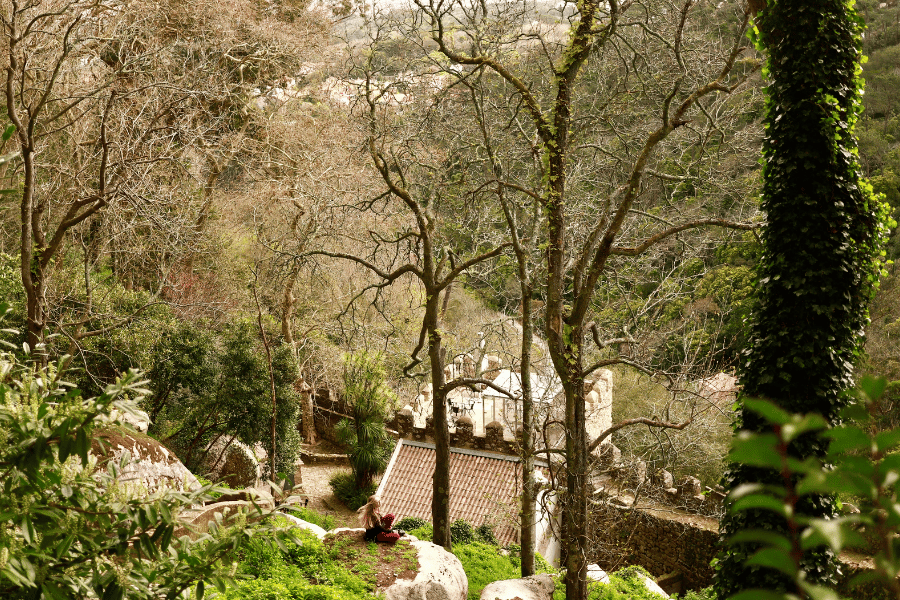 Pena palace garden
