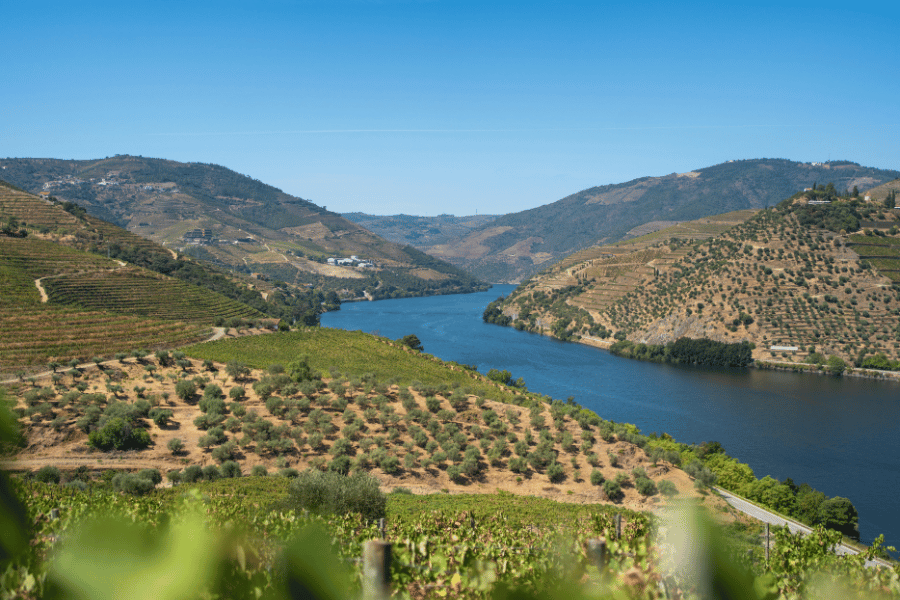 douro valley