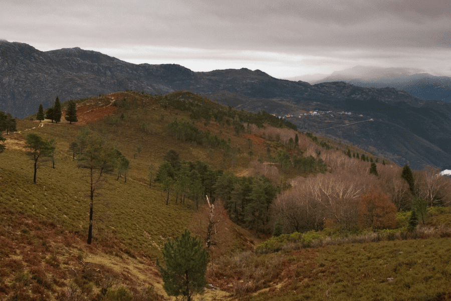 Soajo
